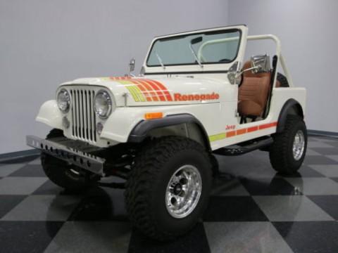 1981 Jeep CJ for sale