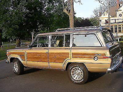 new engine 1989 Jeep Wagoneer offroad