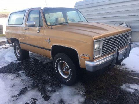 solid 1984 Chevrolet Blazer offroad for sale