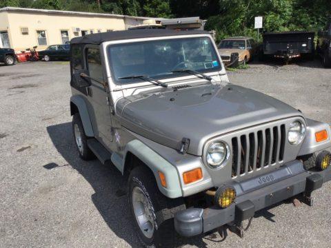 snow plow mount 2000 Jeep Wrangler offroad for sale