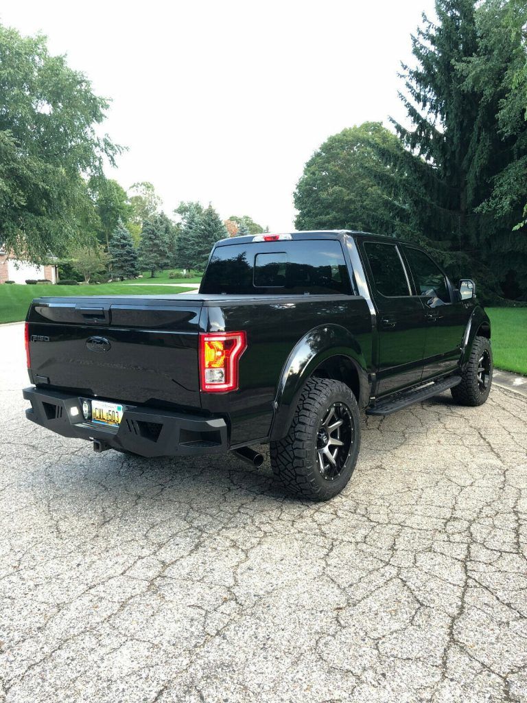 loaded 2015 Ford F 150 XLT offroad