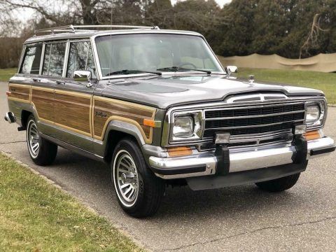 1991 Jeep Grand Wagoneer offroad [unbelievable condition] for sale