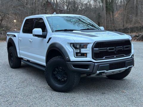2019 Ford F-150 Raptor offroad [loaded with options] for sale