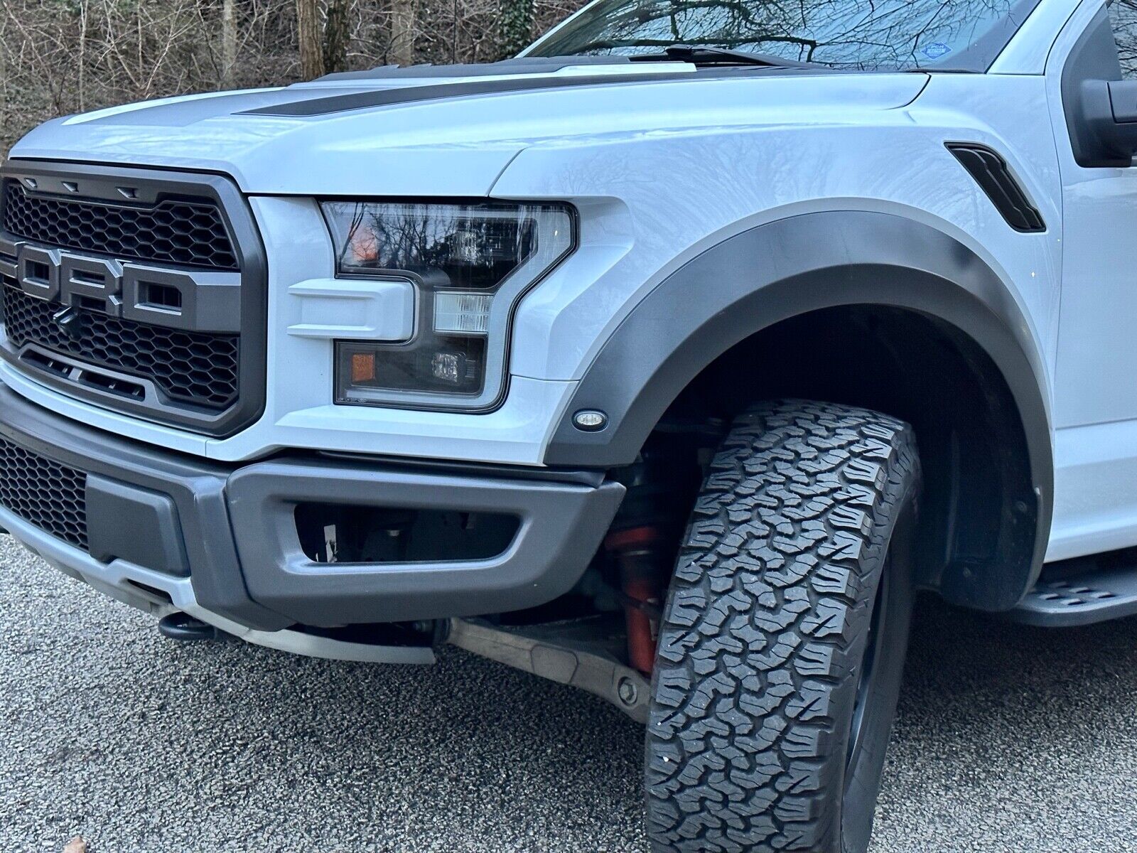 2019 Ford F-150 Raptor offroad [loaded with options] for sale