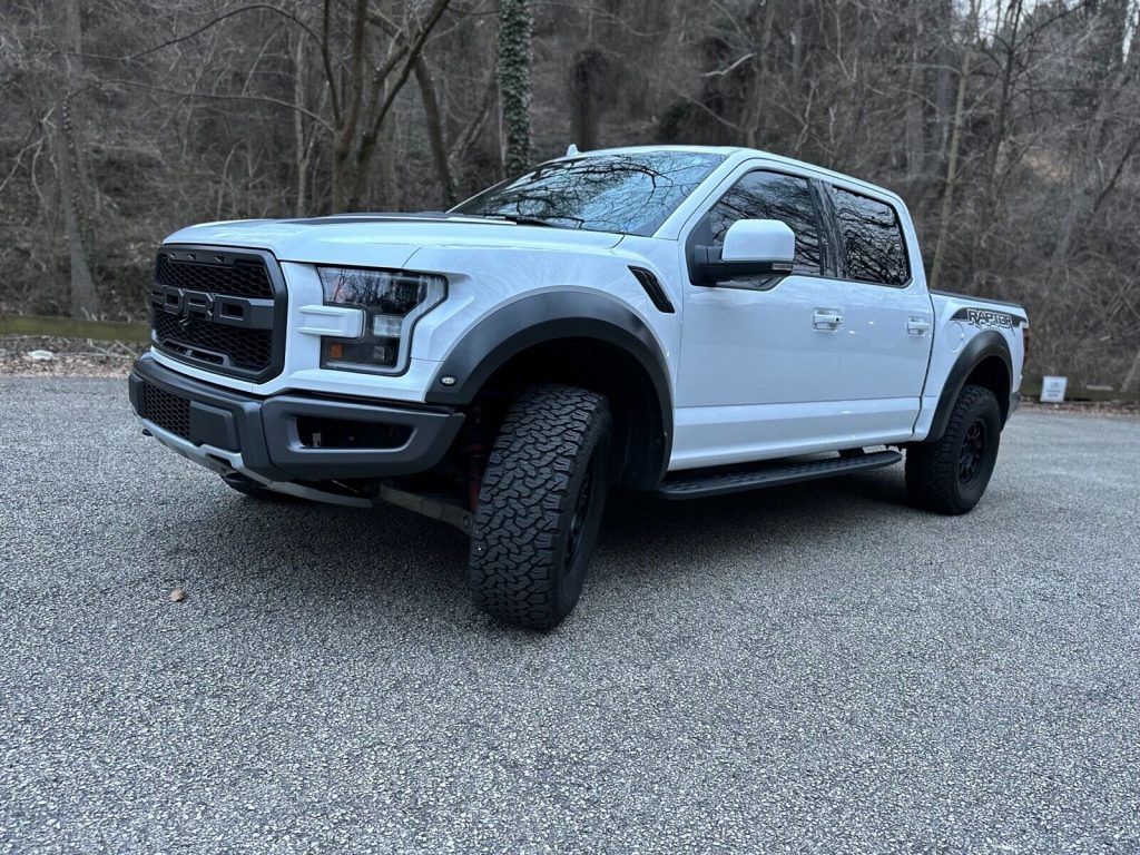 2019 Ford F-150 Raptor offroad [loaded with options]